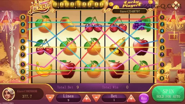 Cassino 365pg app mobile